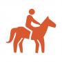 Voir les s�jours EQUITATION ET ACTIVITES EQUESTRES